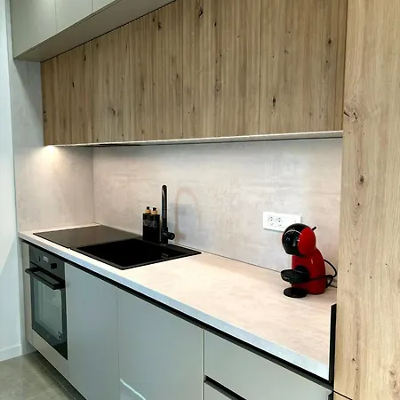 公寓 Nika 扎达尔